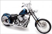 2010 Big Bear Choppers Screamin Demon 100 Carb photo